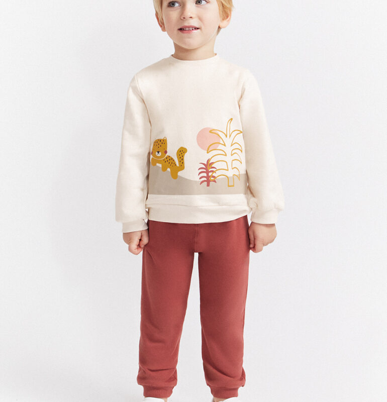 Conjunto SELVA