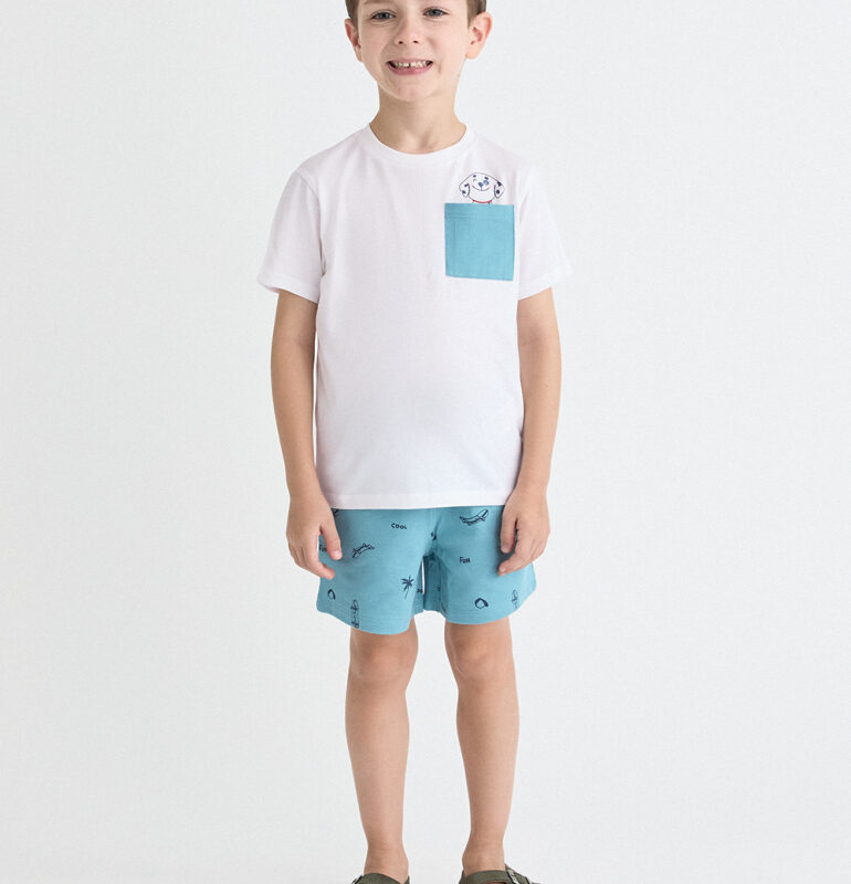 Conjunto DÁLMATA