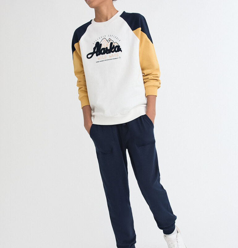 Conjunto ALASKA